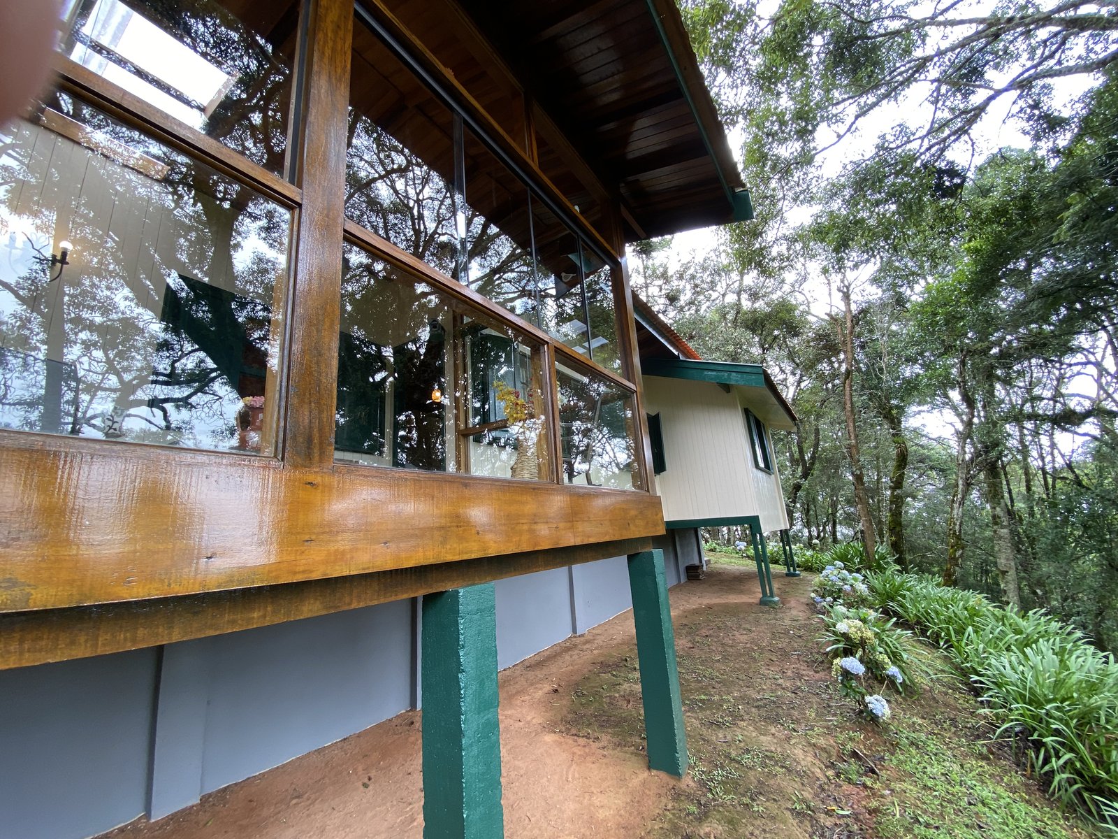 Jardim com araucárias